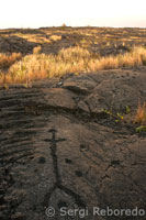 Petroglifs Lloa Pu'u. Volcans de Hawaii Parc Nacional. Illa Gran.